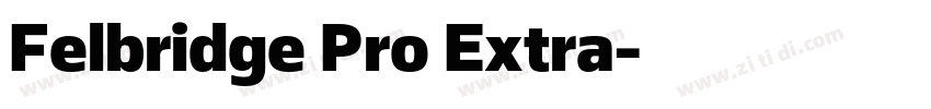 Felbridge Pro Extra字体转换 Felbridge Pro Extra字体转换